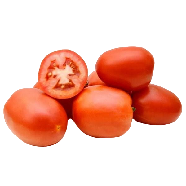 Tomate Italiano